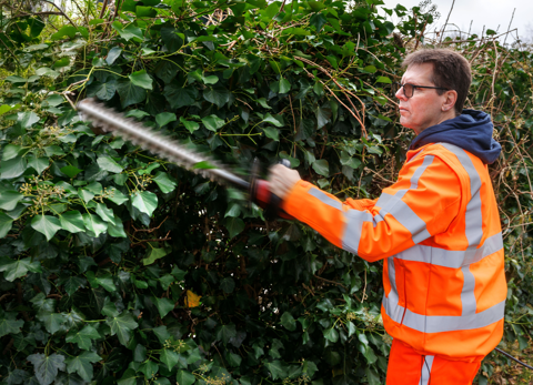 vacatures groene sector