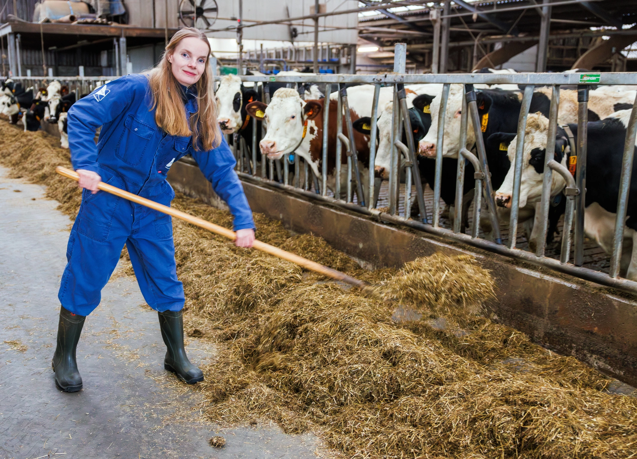 Melk(st)er in opleiding in Groningen